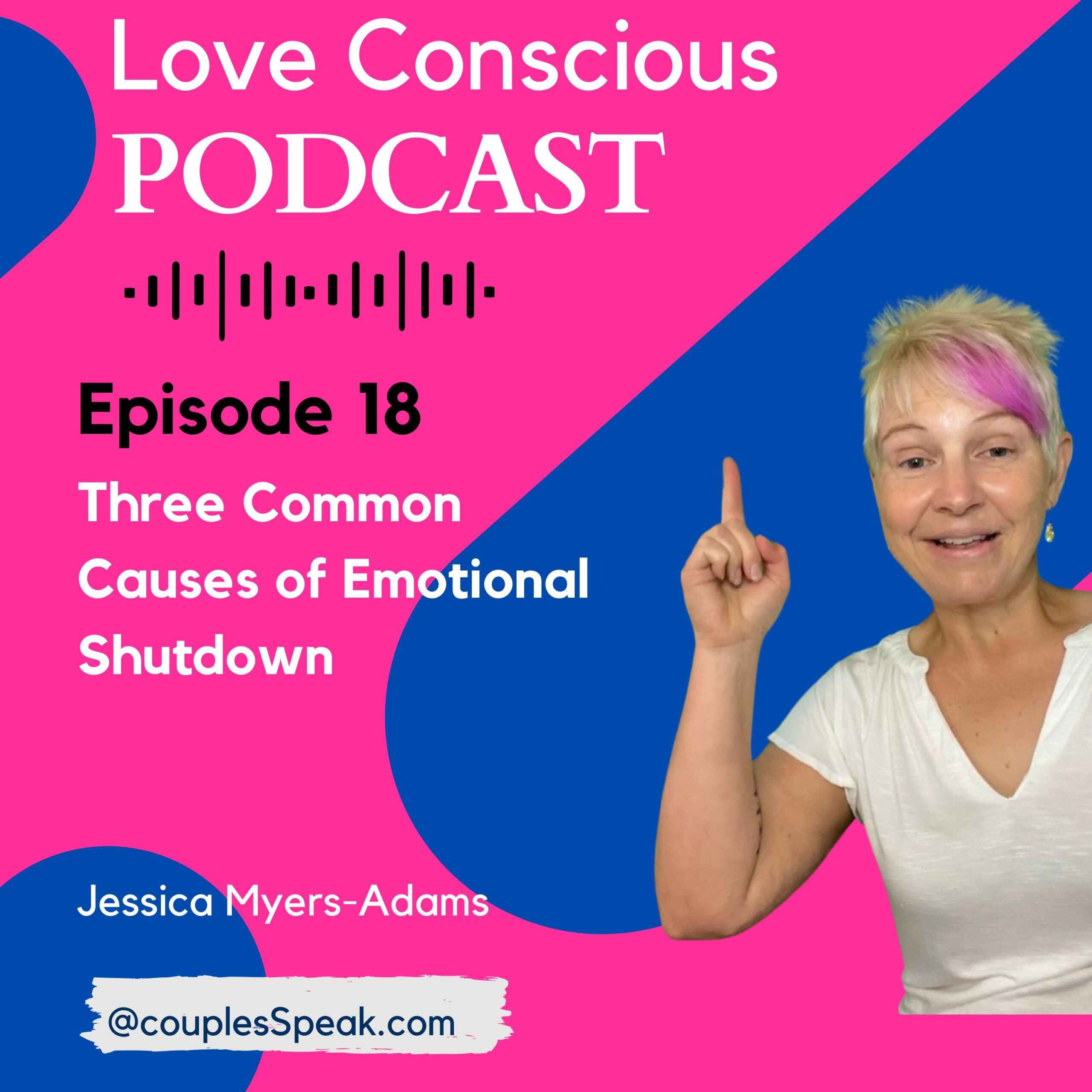 Episode 18: Three Common Causes of Emotional Shutdown